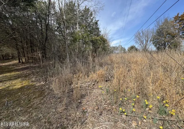 4th image of Bear Creek Rd Off Rd, Bybee, TN 37713 | MLS# 1333869
