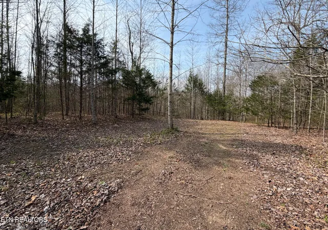 Photo 2 of Land for sale at Walker Rd, Sharps Chapel, TN 37866 | MLS# 1333921 | Listing updated on 2026-09-21