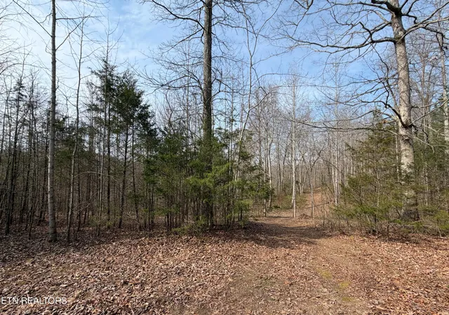 Photo 3 of Land for sale at Walker Rd, Sharps Chapel, TN 37866 | MLS# 1333921 | Listing updated on 2026-09-21