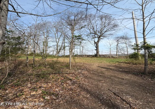 Photo 3 of Land for sale at Walker Rd, Sharps Chapel, TN 37866 | MLS# 1333921 | Listing updated on 2026-09-21