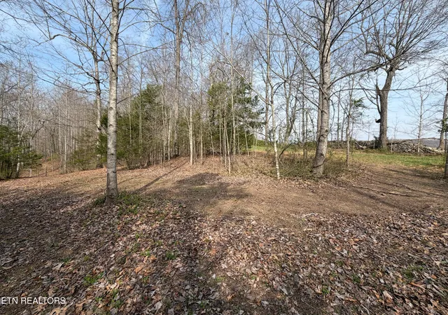 Photo 4 of Land for sale at Walker Rd, Sharps Chapel, TN 37866 | MLS# 1333921 | Listing updated on 2026-09-21