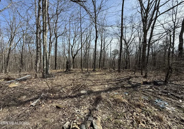 1st image of Lot 69 E Log Rd, Spring City, TN 37381 | MLS# 1335470