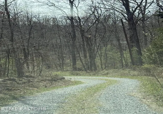 2nd image of Lot 69 E Log Rd, Spring City, TN 37381 | MLS# 1335470