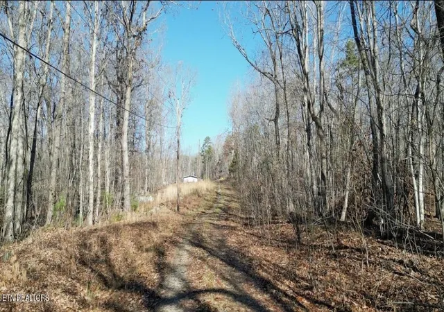 3rd image of Lot 69 E Log Rd, Spring City, TN 37381 | MLS# 1335470