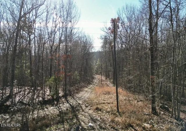 4th image of Lot 69 E Log Rd, Spring City, TN 37381 | MLS# 1335470