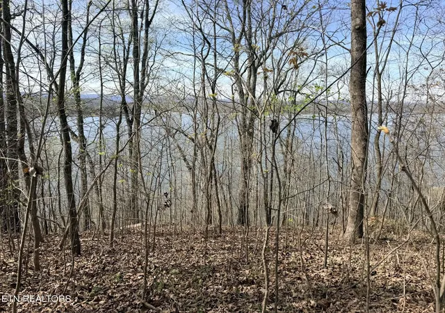 1st image of Lot 7 Johnson Lane, Ten Mile, TN 37880 | MLS# 1333967
