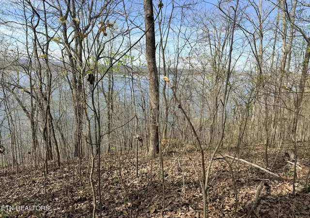 1st image of Lot 8 Johnson Lane, Ten Mile, TN 37880 | MLS# 1333969