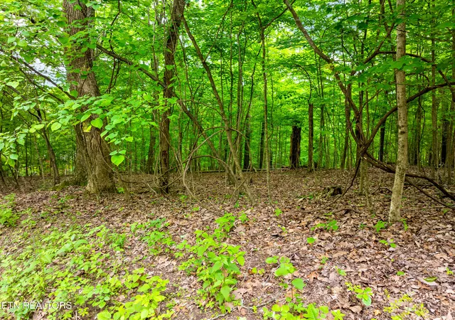 3rd image of Running Deer Tr, Caryville, TN 37714 | MLS# 1334073