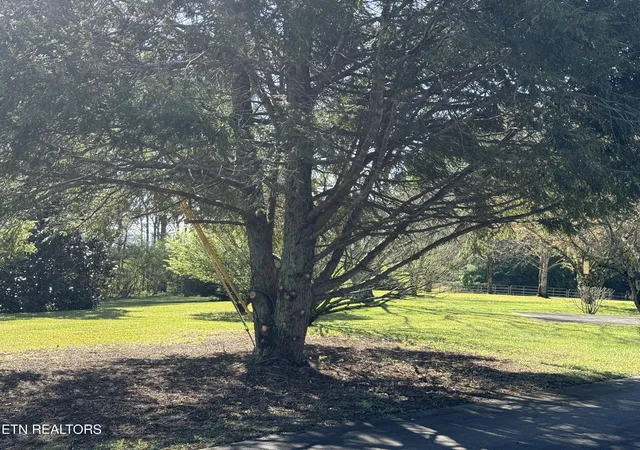 Photo 4 of Single family home for sale at 124 Lincoln St, Crossville, TN 38572 | MLS# 1339077 | Listing updated on 2026-09-21