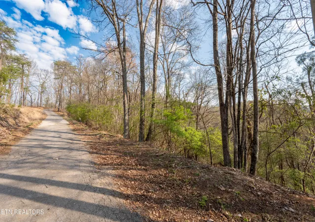 Homes for sale in Seymour, TN | N Cunningham Rd, Seymour, TN 37865 | MLS# 1334528