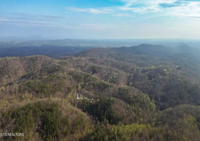 Homes for sale in Seymour, TN | N Cunningham Rd, Seymour, TN 37865 | MLS# 1334528