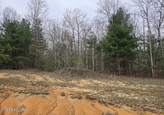 Homes for sale in Oneida, TN | Lot 93 Kayla Ln, Oneida, TN 37841 | MLS# 1334487