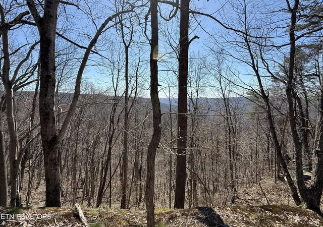 Photo 1 of Land for sale at Cumberland Cvs Rd, Monterey, TN 38574 | MLS# 1334119 | Listing updated on 2026-03-26
