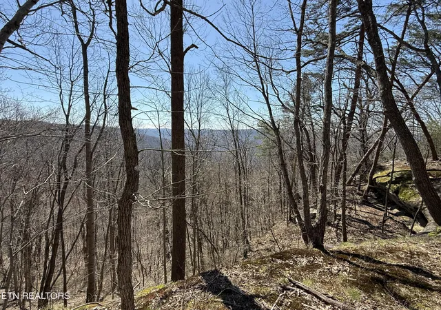 Photo 2 of Land for sale at Cumberland Cvs Rd, Monterey, TN 38574 | MLS# 1334119 | Listing updated on 2026-03-26