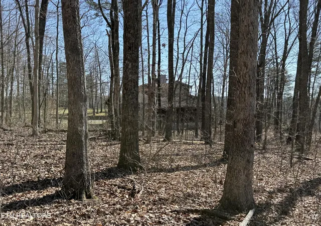 Photo 4 of Land for sale at Cumberland Cvs Rd, Monterey, TN 38574 | MLS# 1334119 | Listing updated on 2026-03-26