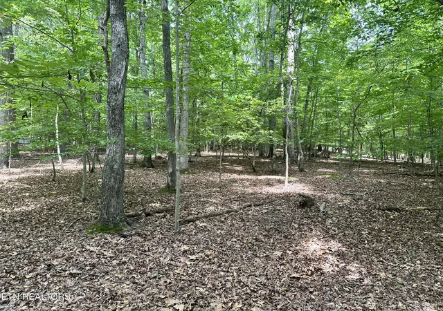 Photo 4 of Land for sale at Woods Ridge Rd, Dandridge, TN 37725 | MLS# 1334162 | Listing updated on 2026-07-20
