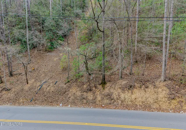 Homes for sale in Gatlinburg, TN | Proffitt Rd #Lot G, Gatlinburg, TN 37738 | MLS# 1334514