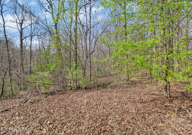 Photo 2 of Land for sale at Thompson Rd, Crossville, TN 38571 | MLS# 1334336 | Listing updated on 2026-04-08