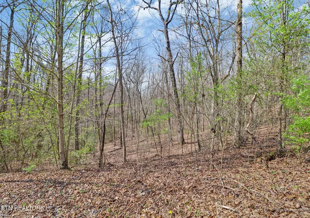 Photo 3 of Land for sale at Thompson Rd, Crossville, TN 38571 | MLS# 1334336 | Listing updated on 2026-04-08