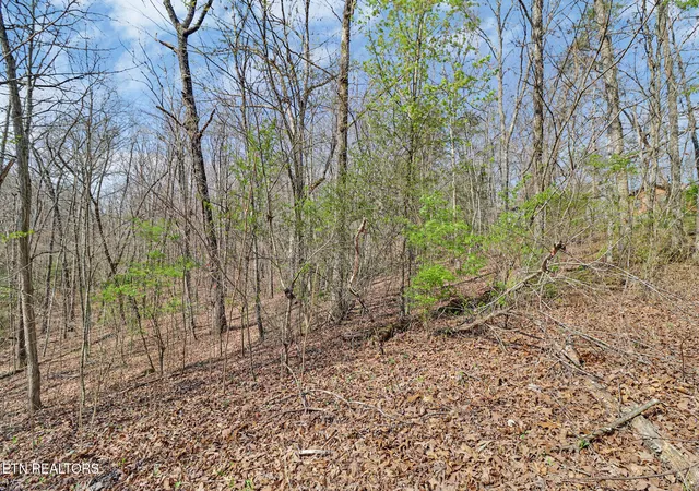 Photo 3 of Land for sale at Thompson Rd, Crossville, TN 38571 | MLS# 1334336 | Listing updated on 2026-04-08