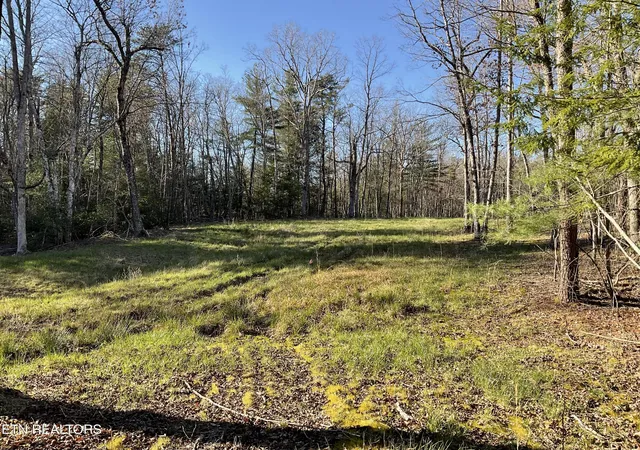 Photo 1 of Land for sale at Tract 2 Pine Breeze Dr, Monterey, TN 38574 | MLS# 1336559 | Listing updated on 2026-04-14