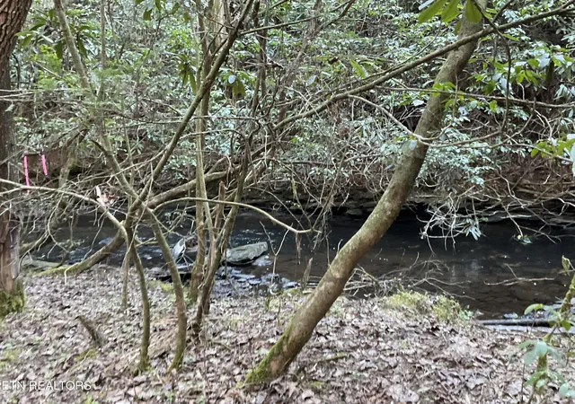 Photo 2 of Land for sale at Tract 2 Pine Breeze Dr, Monterey, TN 38574 | MLS# 1336559 | Listing updated on 2026-04-14