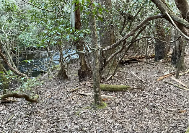 Photo 3 of Land for sale at Tract 2 Pine Breeze Dr, Monterey, TN 38574 | MLS# 1336559 | Listing updated on 2026-04-14