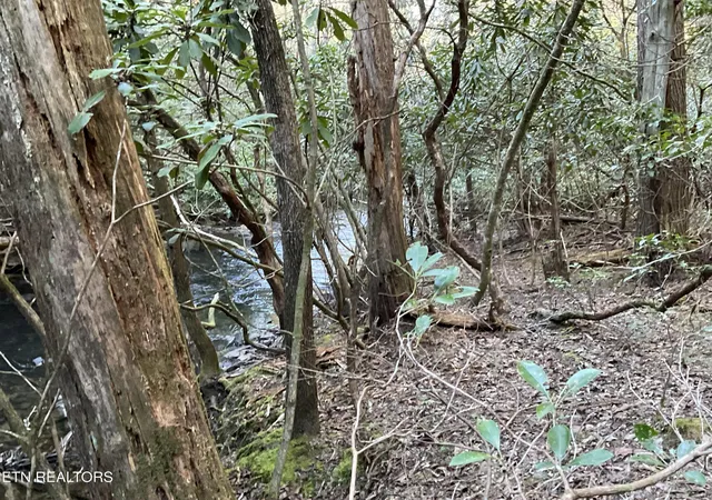 Photo 3 of Land for sale at Tract 2 Pine Breeze Dr, Monterey, TN 38574 | MLS# 1336559 | Listing updated on 2026-04-14