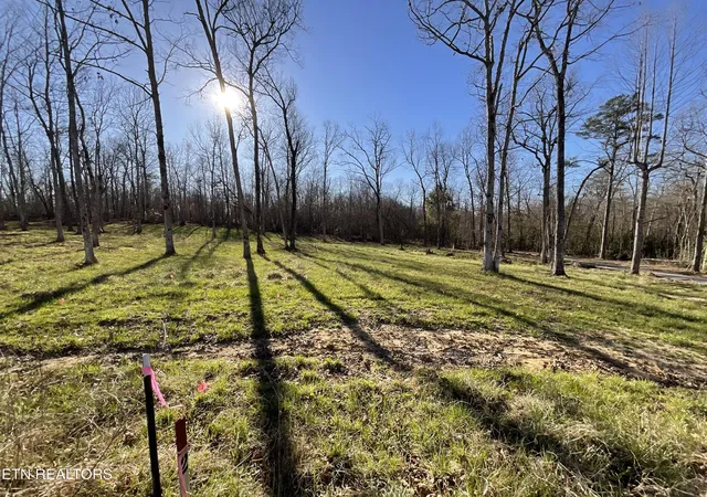 Photo 4 of Land for sale at Tract 2 Pine Breeze Dr, Monterey, TN 38574 | MLS# 1336559 | Listing updated on 2026-04-14