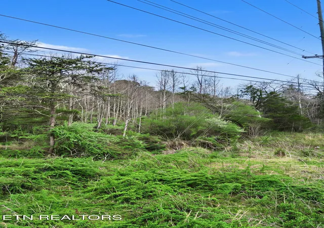 31st image of Wears Valley Rd, Townsend, TN 37882 | MLS# 1334958