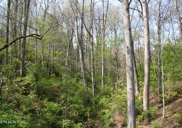 Photo 3 of Land for sale at Lot 12 Vanhorn Rd, Knoxville, TN 37918 | MLS# 1334333 | Listing updated on 2026-03-27