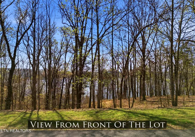 Photo 2 of Land for sale at Lot 142 E Shore Dr, Rockwood, TN 37854 | MLS# 1334439 | Listing updated on 2026-03-27