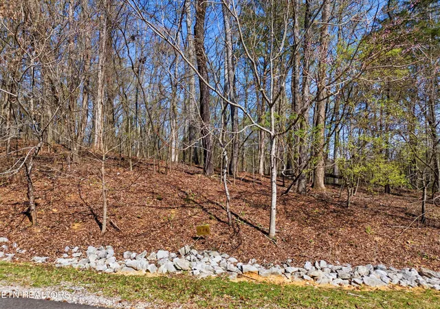 Photo 3 of Land for sale at Lot 142 E Shore Dr, Rockwood, TN 37854 | MLS# 1334439 | Listing updated on 2026-03-27