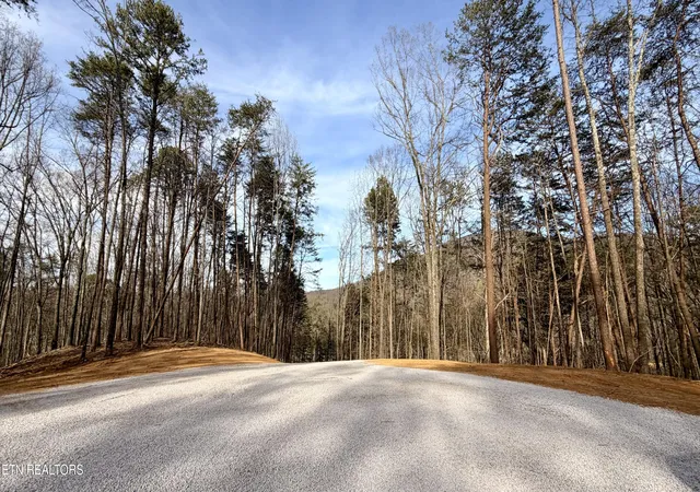 3rd image of 4770 E Lamar Alexander Pkwy, Walland, TN 37886 | MLS# 1334474