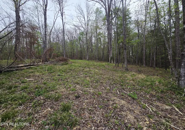 3rd image of 0 Scott-Fentress Co Line, Allardt, TN 38504 | MLS# 1334554
