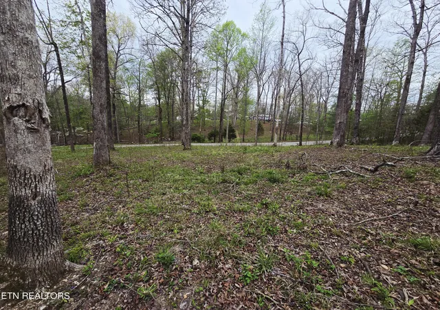 4th image of 0 Scott-Fentress Co Line, Allardt, TN 38504 | MLS# 1334554
