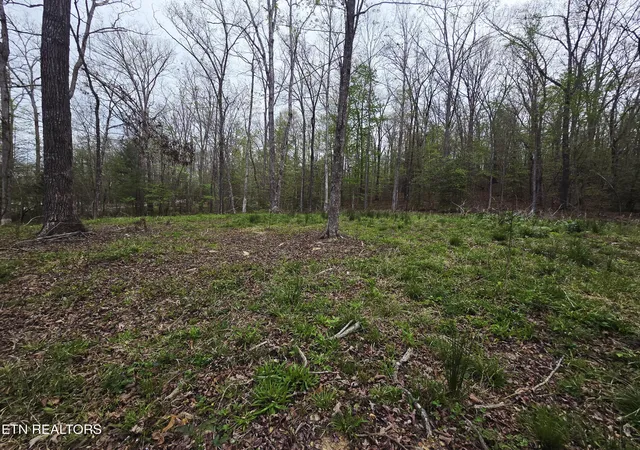 5th image of 0 Scott-Fentress Co Line, Allardt, TN 38504 | MLS# 1334554