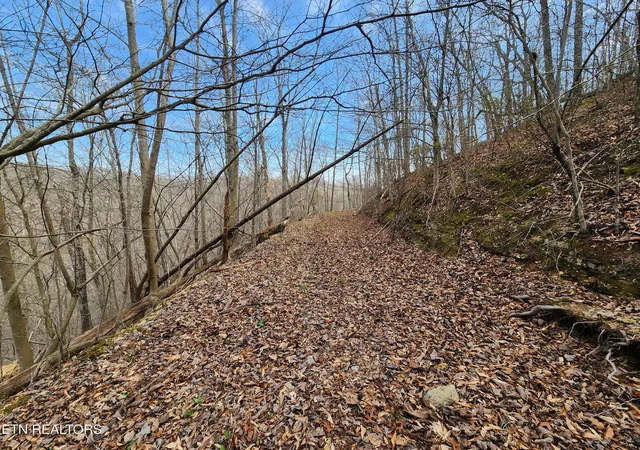 Photo 1 of Land for sale at Alpine Dr, Smithville, TN 37166 | MLS# 1334556 | Listing updated on 2026-09-14