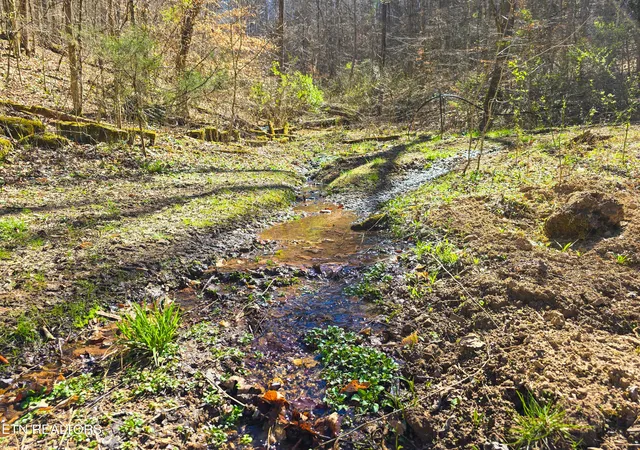4th image of 515 Robinson Rd, New Tazewell, TN 37825 | MLS# 1334595