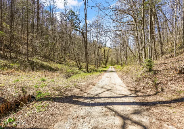 5th image of 515 Robinson Rd, New Tazewell, TN 37825 | MLS# 1334595