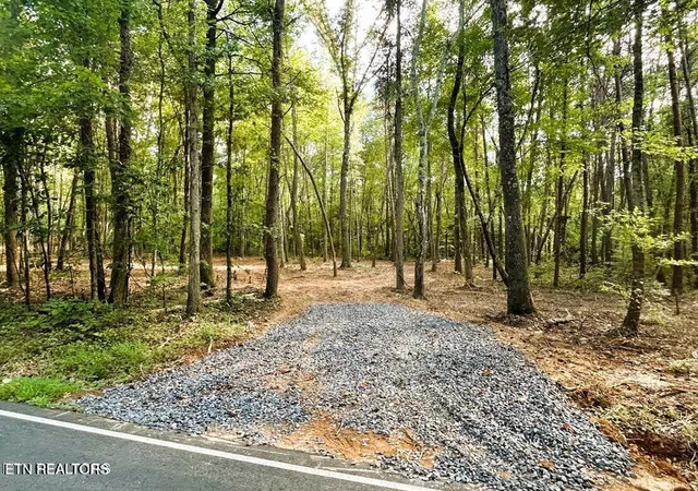2nd image of Tract 5 Pleasant Hill Rd, Ten Mile, TN 37880 | MLS# 1334663