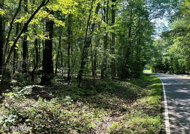 4th image of Tract 5 Pleasant Hill Rd, Ten Mile, TN 37880 | MLS# 1334663