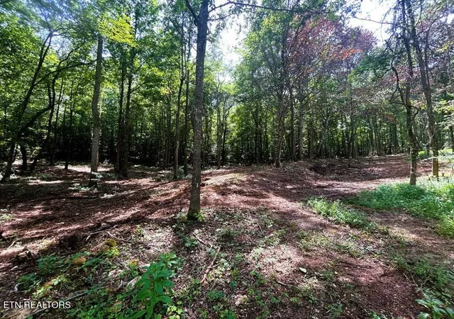 1st image of Tract 8 Pleasant Hill Rd, Ten Mile, TN 37880 | MLS# 1334694