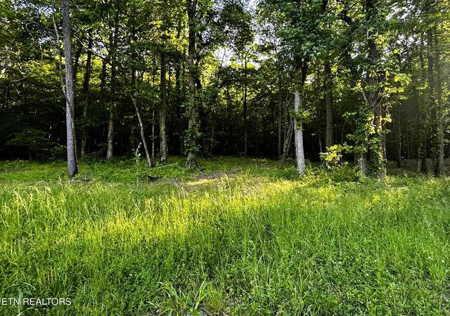 1st image of Tract 9 Pleasant Hill Rd, Ten Mile, TN 37880 | MLS# 1334696