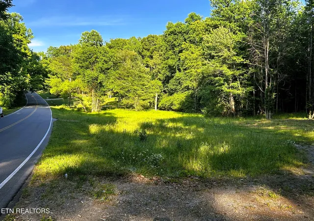 4th image of Tract 9 Pleasant Hill Rd, Ten Mile, TN 37880 | MLS# 1334696