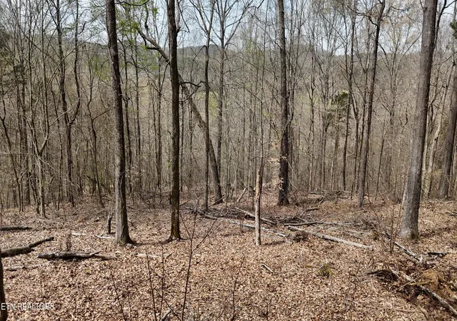 1st image of 000 Geren Subd Ln, Decatur, TN 37322 | MLS# 1335125