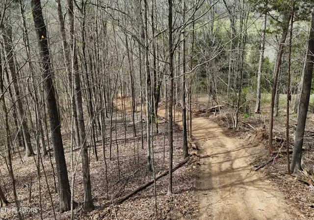 2nd image of 000 Geren Subd Ln, Decatur, TN 37322 | MLS# 1335125