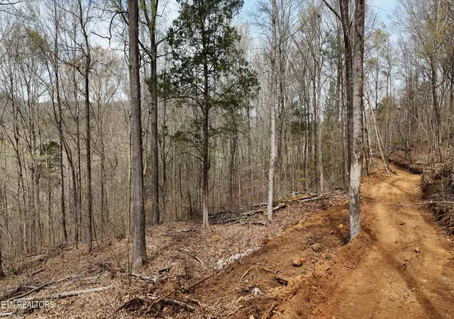 4th image of 000 Geren Subd Ln, Decatur, TN 37322 | MLS# 1335125