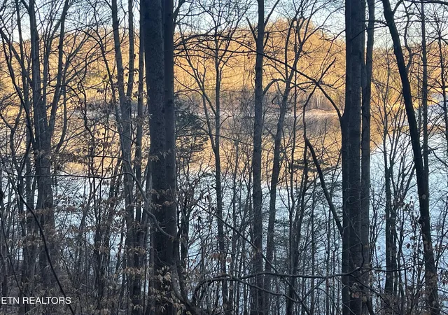 Photo 1 of Land for sale at 0 Back Bone Rd, Sparta, TN 38583 | MLS# 1335126 | Listing updated on 2026-04-02