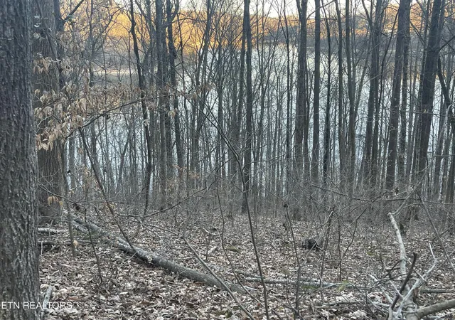 Photo 2 of Land for sale at 0 Back Bone Rd, Sparta, TN 38583 | MLS# 1335126 | Listing updated on 2026-04-02